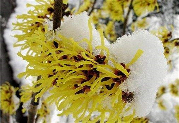 image001_副本.jpg